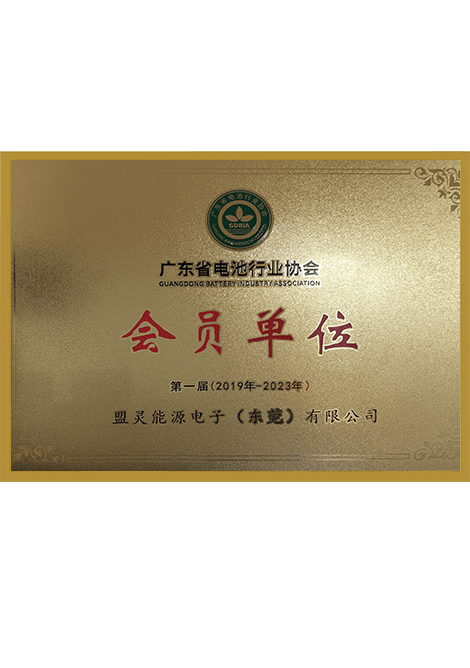 Guangdong Battery Industry Association